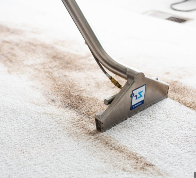 carpet cleaning
